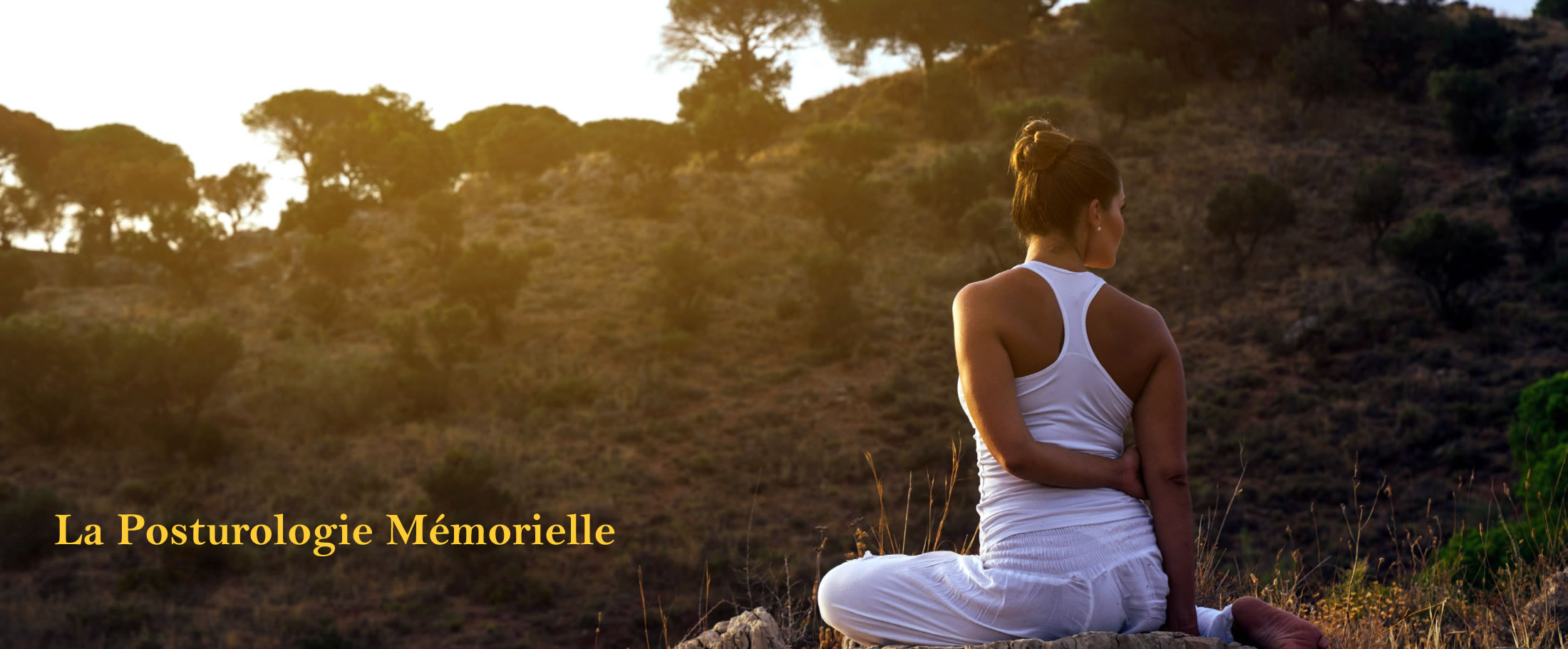 Entête MCES Corporel